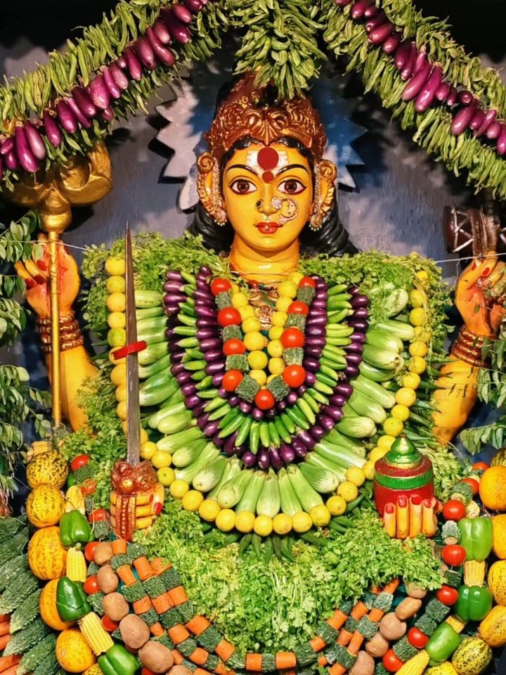 Shakambhari Devi Purnima 2026